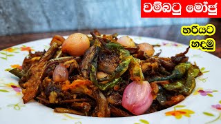 වම්බටු මෝජු හරියට හදමු  Wambatu Moju sinhala [upl. by Obaza]