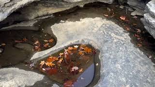 Ohiopyle 31 Oct 2024 Kayakers and potholes Entrance Rapids [upl. by Bor208]