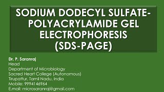 Sodium Dodecyl Sulfate  Polyacrylamide Gel Electrophoresis SDSPAGE [upl. by Aeslehc260]