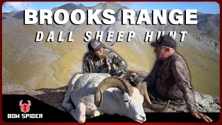 Dall Sheep hunting Brooks range Alaska [upl. by Adamek514]