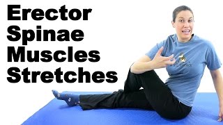 Erector Spinae Muscles Stretches  Ask Doctor Jo [upl. by Eecyaj]