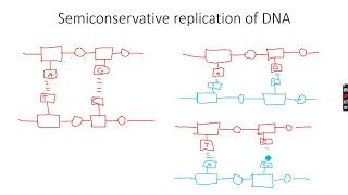 ALevel Chemistry Polymerisation Part 10 [upl. by Acinnor]