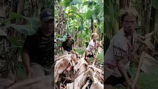 Gumalaw ang mga dahon funny comedyph comedy pinoycomedy comedyfilms humor pinoyhumor laugh [upl. by Yttisahc]