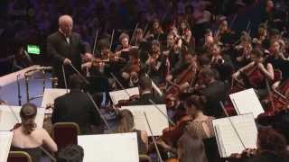 Beethoven  Symphony No9  West East Divan Orchestra  Daniel Barenboim Full HD 1080p [upl. by Aciret]