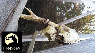 Waldgote Outdoor HalloweenTour mit Dirk zum Rimdidim LP 12 [upl. by Eirrehs]