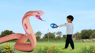 saamp wala video  Rosy cobra snake attack  snake video  king cobra [upl. by Noemad855]