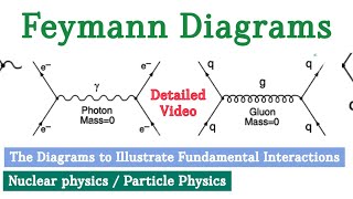 Feynman Diagrams  Nuclear physics  Feynman diagrams for fundamental interactions [upl. by Johannes]