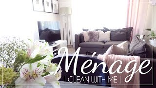 ORGANISATION MAISON  MENAGE Clean with me 2019 [upl. by Yrag]