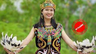 Musik Dayak No Copyright 1080p [upl. by Tressa62]