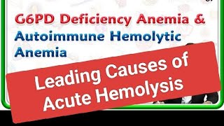 Leading Causes of Pediatric Acute Hemolysis [upl. by Anitra]