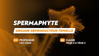 Organe reproducteur femelle [upl. by Aydni767]