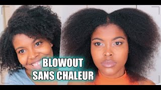 Lisser les Cheveux Crépus Sans Chaleur avec les Tresses au fil   Astuces cheveux secs [upl. by Nilat117]