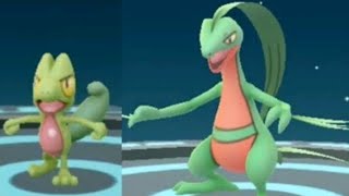 I evolve my treecko into grovyle [upl. by Worthy]