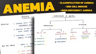 Anemia  Classification of Anemia  Iron Deficiency Anemia  Megaloblastic Anemia  Pathology [upl. by Llehsem113]