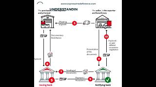 Step By Step Procedures Of Letters Of Credit  LC At Sight  Usance LC  Standby LC [upl. by Sarad]