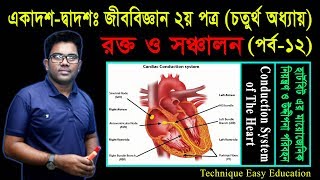 ৭১হার্টবিট এর মায়োজেনিক নিয়ন্ত্রণ  HSC ৪র্থ অধ্যায় Biology 2nd Paper Chapter 4 P12 [upl. by Ruhl]