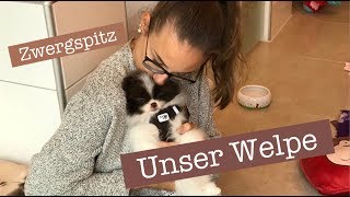 Unser WelpeAbholenEinzug 🐶❤️ Eure Fragen Vlog [upl. by Tenom]