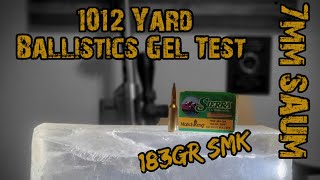 7mm SAUM 1012 Yard Ballistics Gel Test 183gr Sierra Match King [upl. by Notrub211]