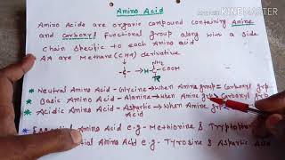 Amino acids easily explainedHindi [upl. by Aiclid]