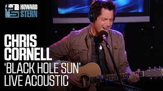 Chris Cornell “Black Hole Sun” on The Howard Stern Show 2007 [upl. by Nelyahs]