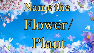 Quiz Time Name the FlowerPlant [upl. by Ativel]