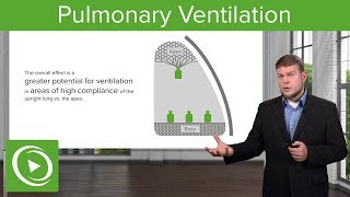 Pulmonary Ventilation Breathing and Lung Mechanics – Physiology  Lecturio [upl. by Hareehat494]