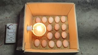 Incubator for chicken eggs  How to hatch a chicken egg at home [upl. by Chandless]