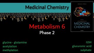 12 Metabolism 6 phase 2 Conjugation  Medicinal chemistry بالعربي [upl. by Maya]