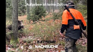 Nachsuchen mit dem Schweisshund  Aufgeben ist keine Option [upl. by Eilarol]