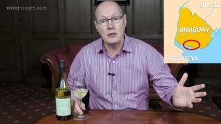 Bodegas Garzon Albarino 2013 Uruguay wine review [upl. by Yrojram563]