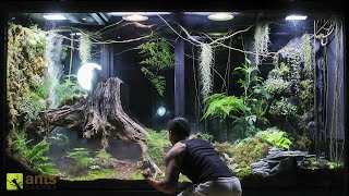 A War Broke Out in My Giant Rainforest Vivarium [upl. by Rinum573]