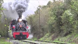 Tren de la Araucania y El ValdivianoGuerra de Silbatos [upl. by Ilrebmyk755]