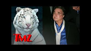 Siegfried amp Roy Tiger Manticore Dies  TMZ [upl. by Iznyl]