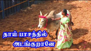 தாய் பாசத்தில் அடங்குறானே சூப்பர் வளர்ப்பு Tamizhan Trending [upl. by Asen678]