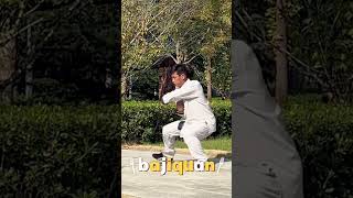 Bajiquan training the most combative Chinese martial art kungfu bajiquan [upl. by Duffy]