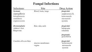 anti infective drugs antibioticsantifungalantiviralantiprotozoalanthelmintic [upl. by Frerichs570]