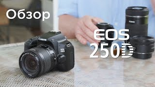 Обзор камеры Canon EOS 250D [upl. by Atsugua]