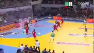 ALGERIE vs MAROC CAN Handball 2014 [upl. by Hola]