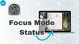 How To Set Share Focus Mode Status On MacOS [upl. by Engud]