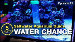 Change your saltwater aquarium water and change your reefing hobby life [upl. by Neelahs31]