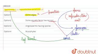 Sporocarp is a reproductive structure of [upl. by Barnes]