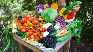 Permaculture Backyard Gardening Harvest Sustainable Food Forest Garden [upl. by Terrel511]