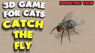 3D game for cats  CATCH THE FLY isometric view  4K 60 fps stereo sound [upl. by Amaleta185]