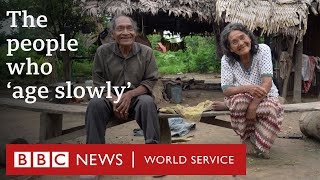 The Tsimane Amazon tribe where people age better  BBC World Service [upl. by Gottlieb]