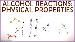 Physical Properties of Alcohol Hydrogen Bonding Solubility and Boiling Point [upl. by Adierf]