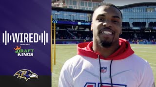 Devin Duvernay Wired at Pro Bowl Practice  Baltimore Ravens [upl. by Acirfa]