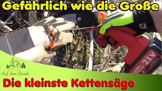 Mini Kettensäge  gefährlich wie die Große 😱 Vorstellung und Test👉 Unboxing👉Baum schneiden👉China [upl. by Iidnarb830]