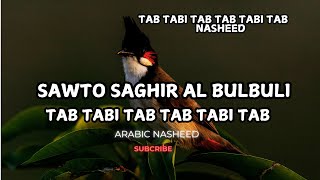 Sawto Saghir al bulbuli  TAB TABI TAB TAB TABI TAB Nasheed  The most epic Arabic Nasheed [upl. by Hujsak]