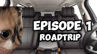 CAT MEMES FAMILY ROADTRIP COMPILATION [upl. by Omsare101]