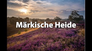 Märkische Heide  instrumental [upl. by Aikenat]